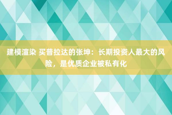 建模渲染 买普拉达的张坤：长期投资人最大的风险，是优质企业被私有化