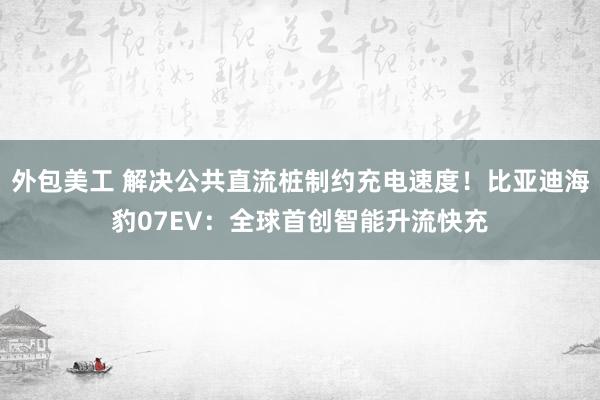 外包美工 解决公共直流桩制约充电速度！比亚迪海豹07EV：全球首创智能升流快充