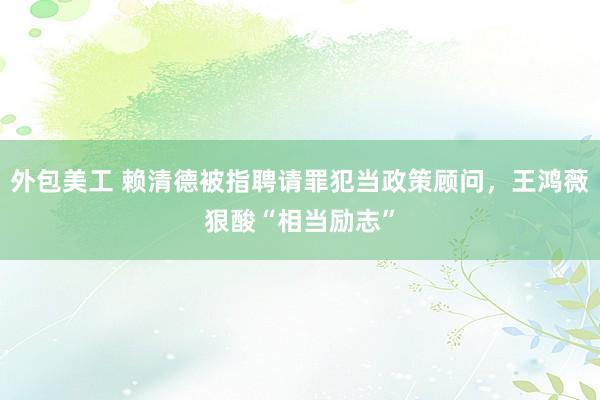 外包美工 赖清德被指聘请罪犯当政策顾问，王鸿薇狠酸“相当励志”