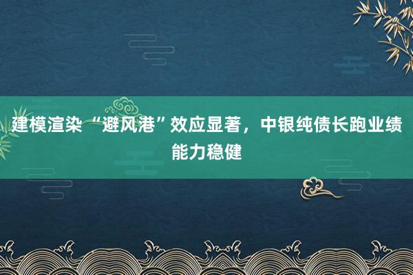 建模渲染 “避风港”效应显著，中银纯债长跑业绩能力稳健