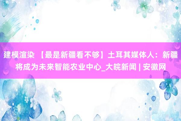 建模渲染 【最是新疆看不够】土耳其媒体人：新疆将成为未来智能农业中心_大皖新闻 | 安徽网