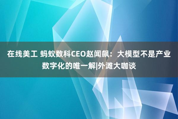 在线美工 蚂蚁数科CEO赵闻飙：大模型不是产业数字化的唯一解|外滩大咖谈